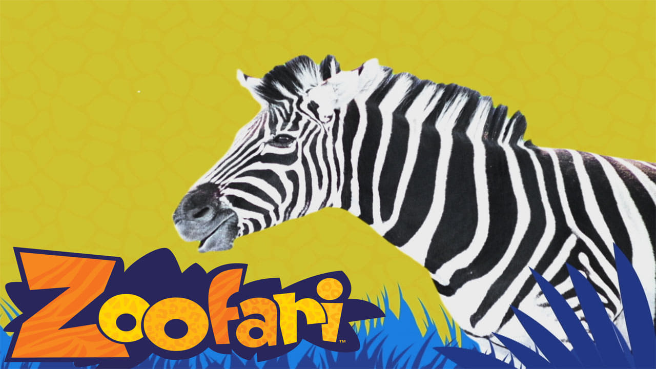 Zoofari|Zoofari