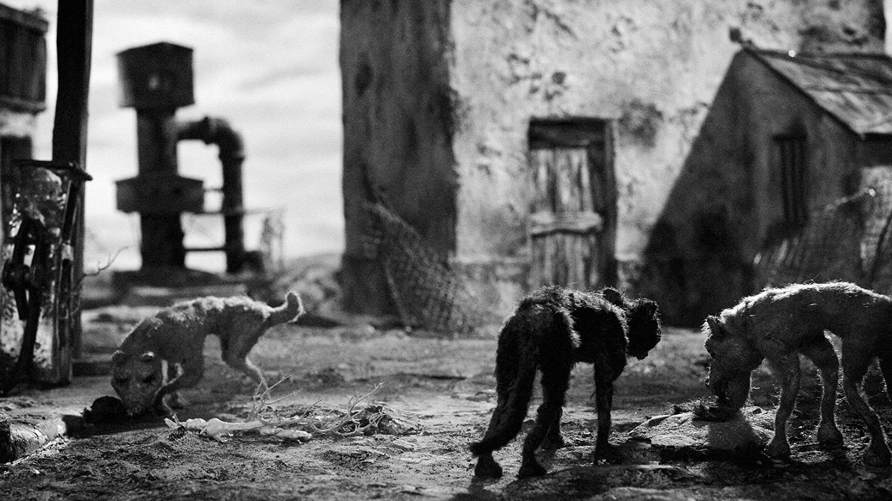 تصویر 0