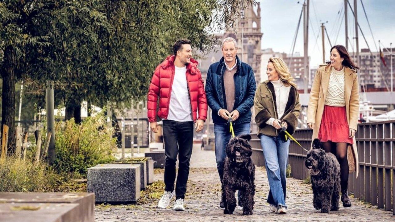 De Verhulstjes|De Verhulstjes