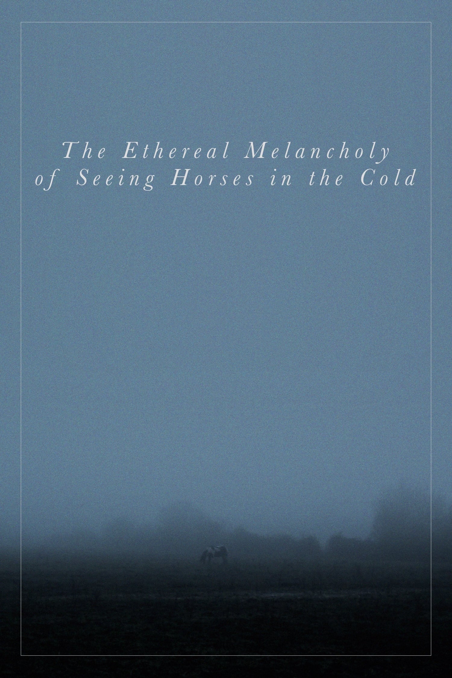 The Ethereal Melancholy of Seeing Horses in the Cold | The Ethereal Melancholy of Seeing Horses in the Cold