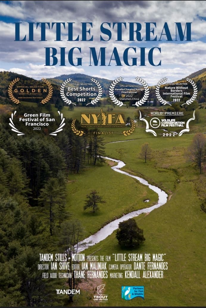 Little Stream, Big Magic | Little Stream, Big Magic