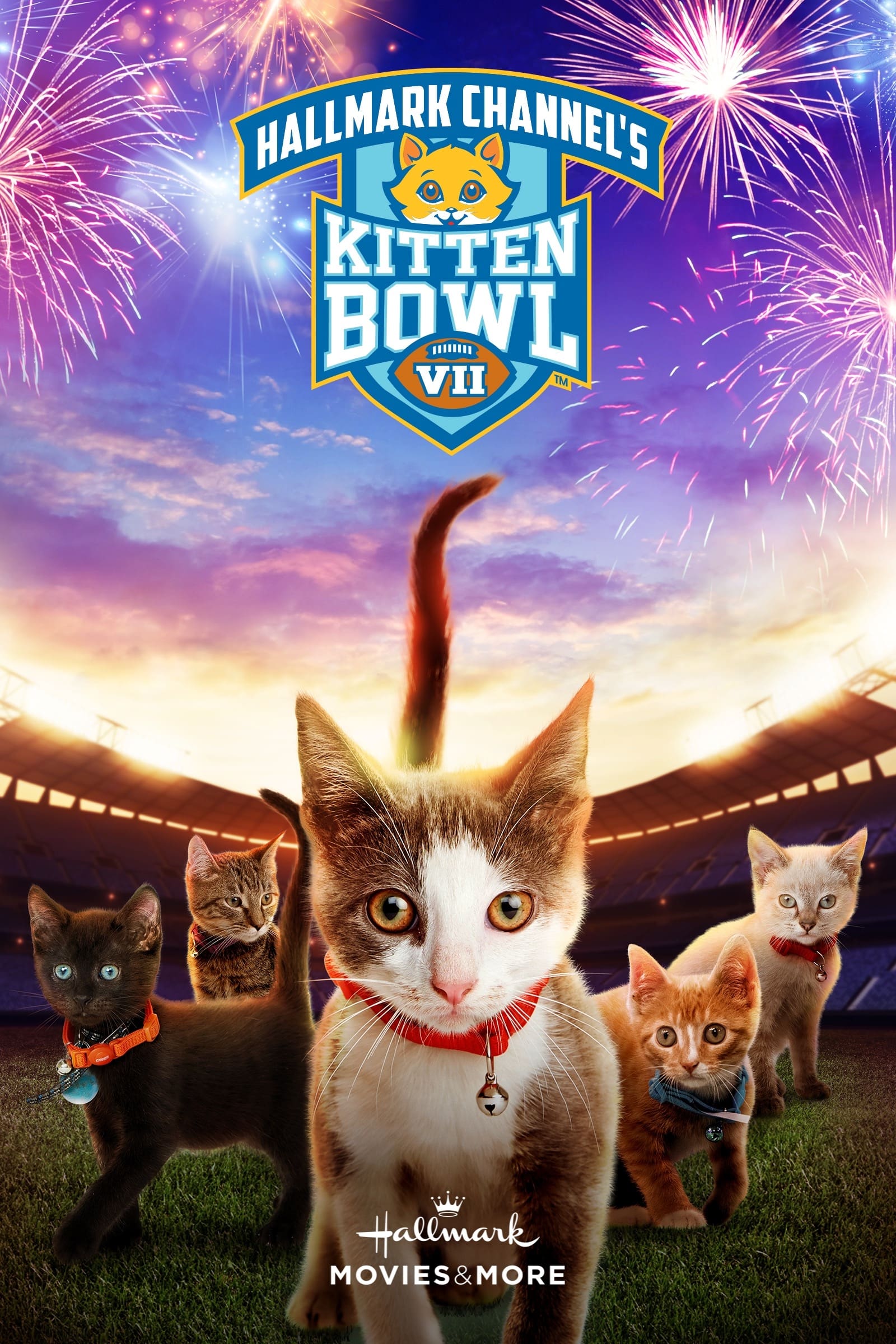 Kitten Bowl VII | Kitten Bowl VII