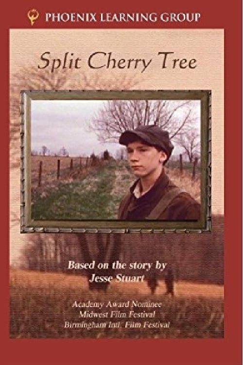 Split Cherry Tree | Split Cherry Tree