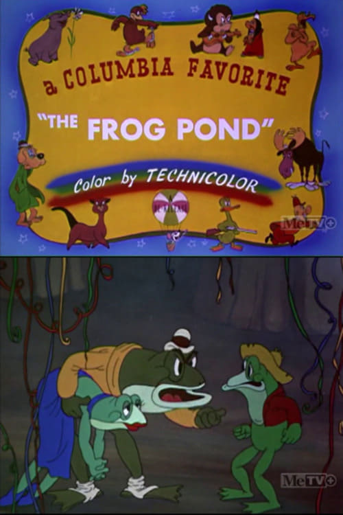 The Frog Pond | The Frog Pond