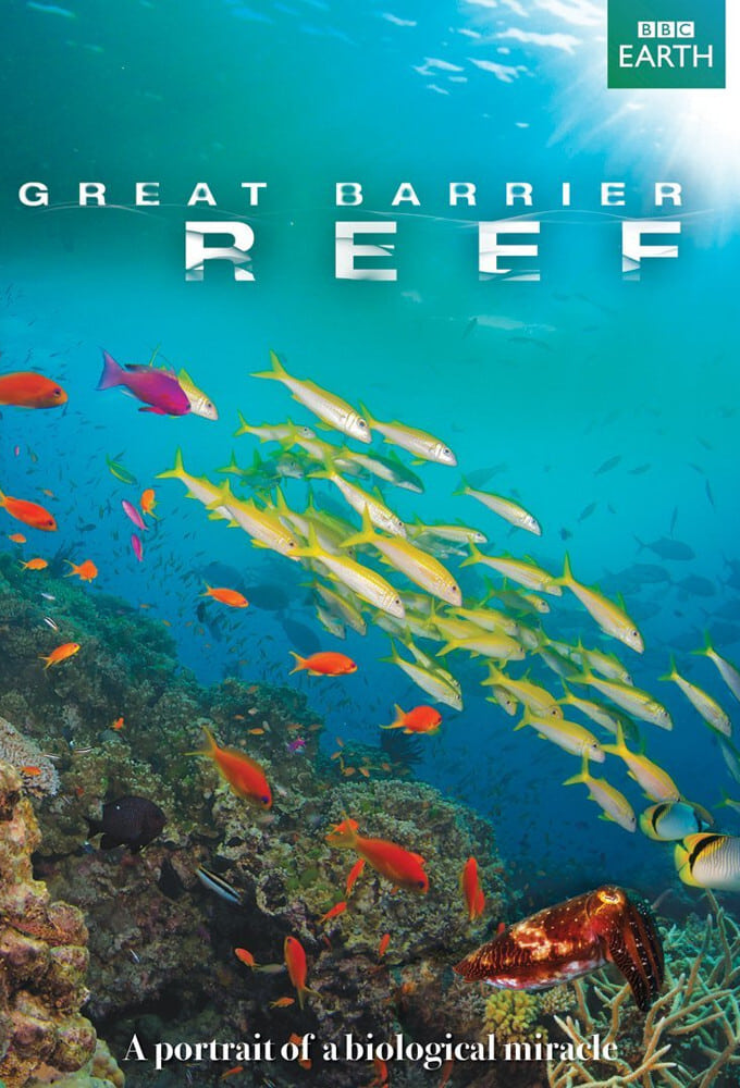 Great Barrier Reef | Great Barrier Reef