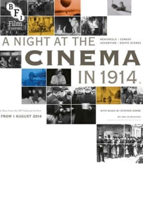 A Night at the Cinema in 1914 | A Night at the Cinema in 1914