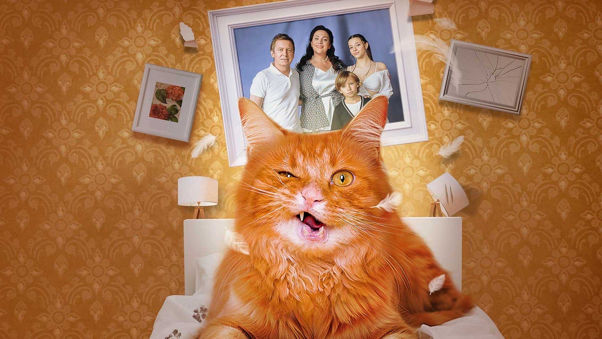 Котострофа|Котострофа