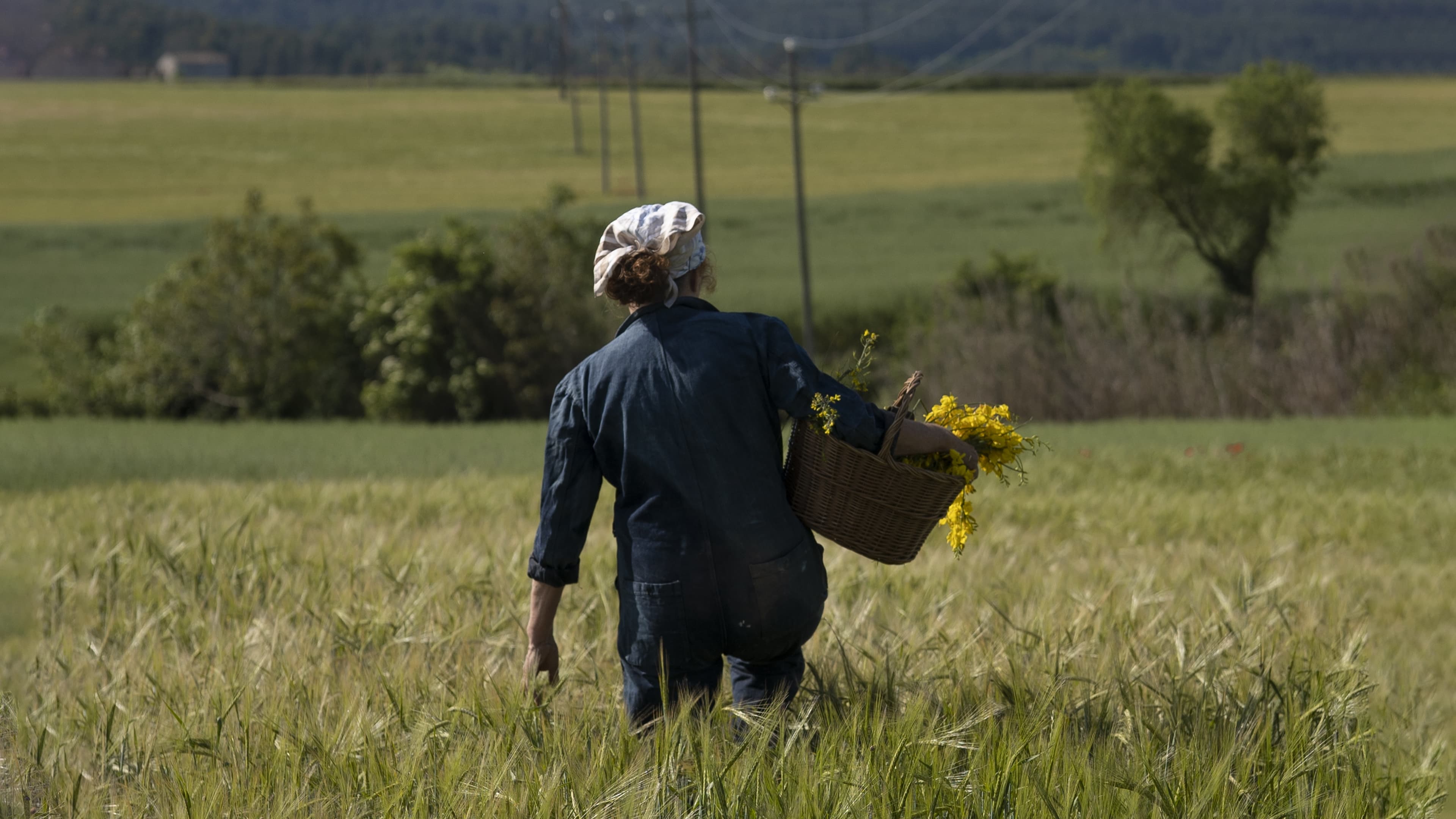 Entre Visitantes|Entre Visitantes