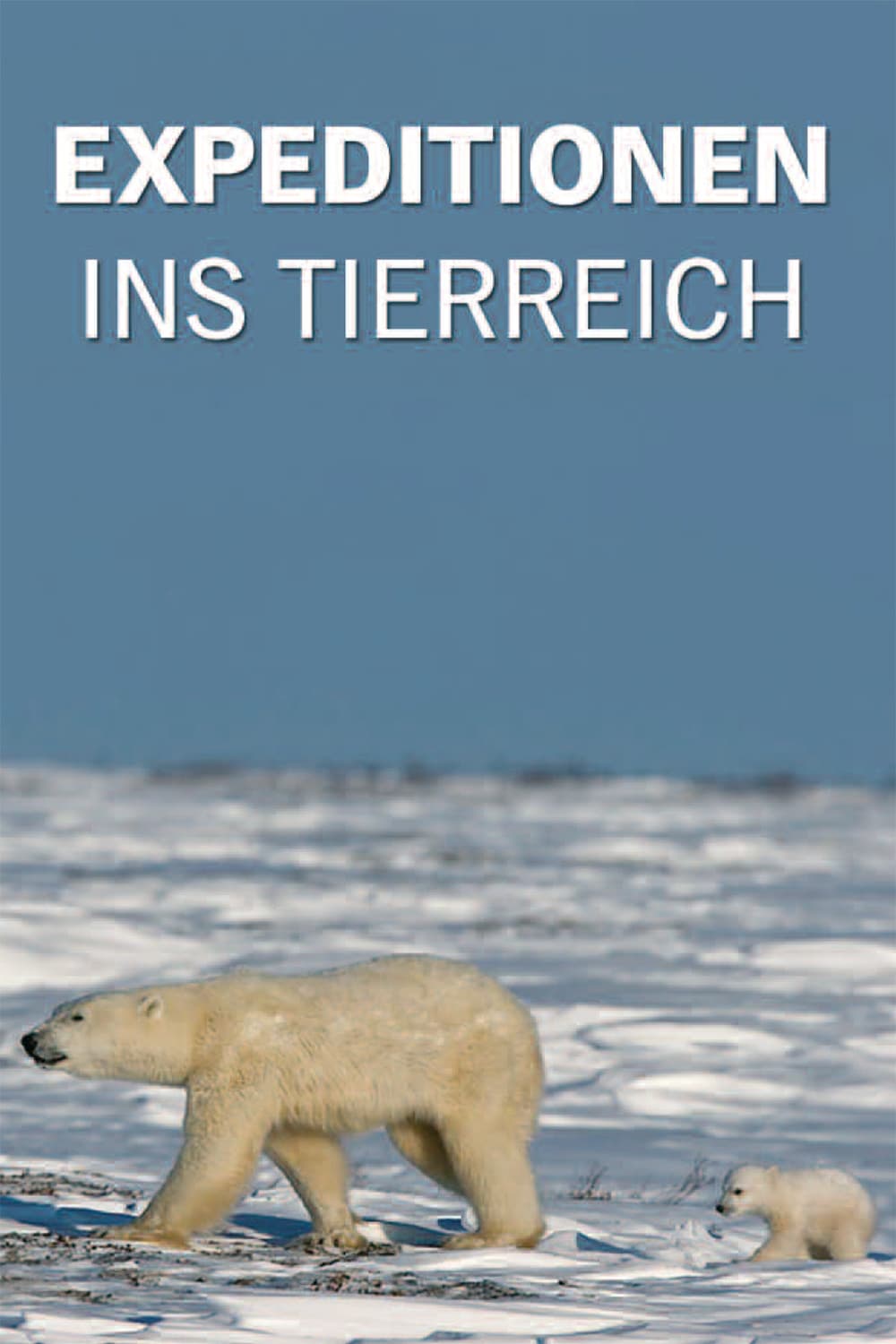 Expeditionen ins Tierreich | Expeditionen ins Tierreich