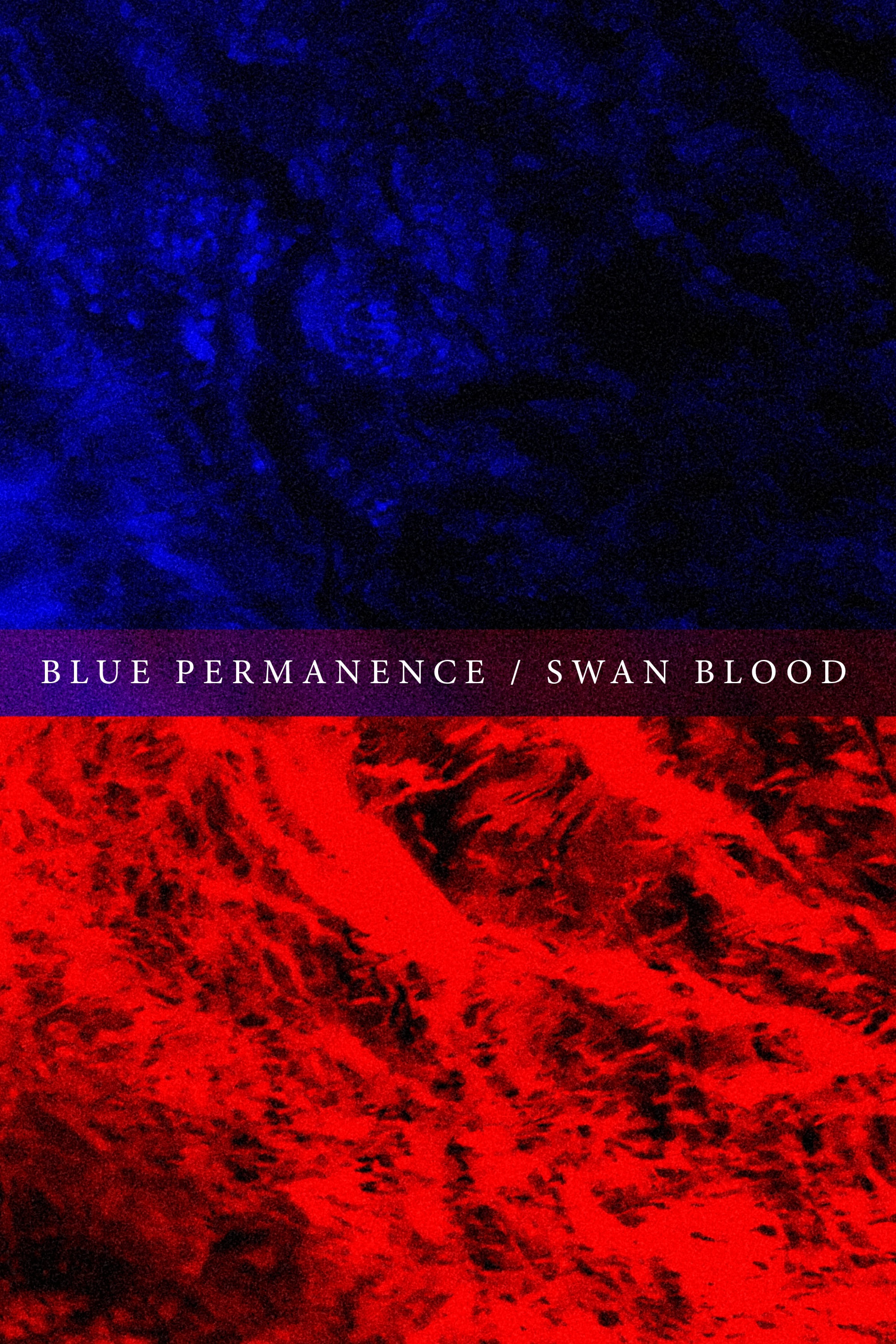 Blue Permanence / Swan Blood | Blue Permanence / Swan Blood