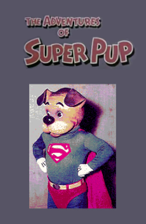 The Adventures of Super Pup | The Adventures of Super Pup