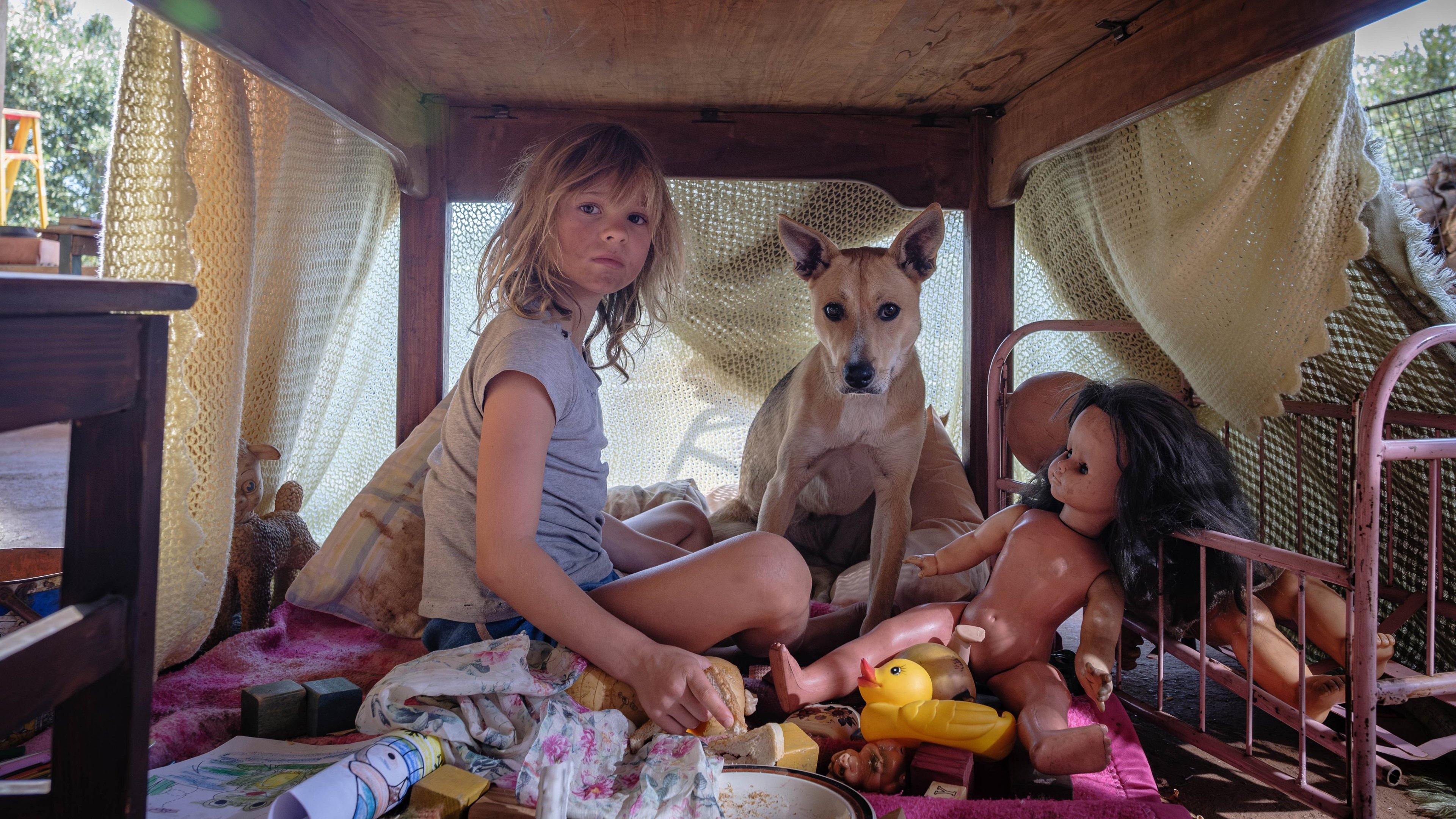 Don't Let's Go to the Dogs Tonight|Don't Let's Go to the Dogs Tonight