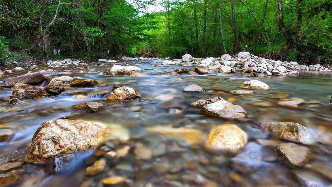 La Rivière|La Rivière