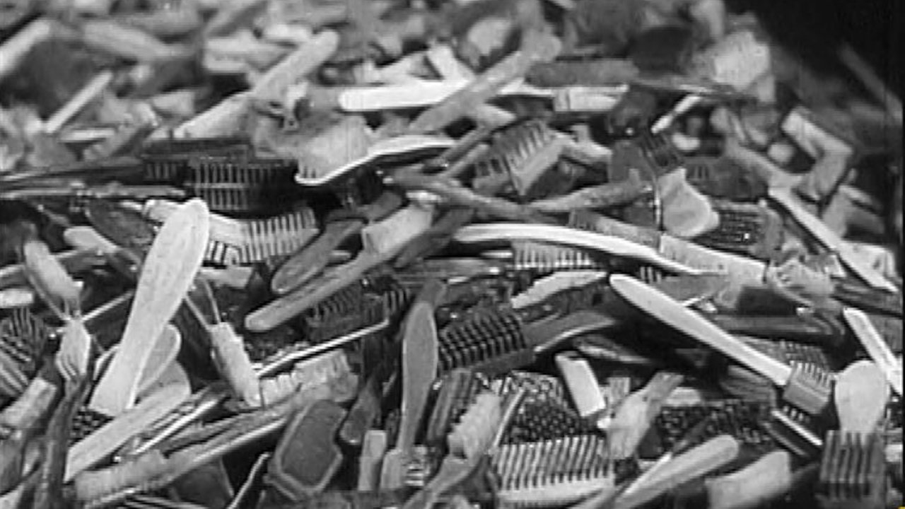 Shoah, les oubliés de l'histoire|Shoah, les oubliés de l'histoire