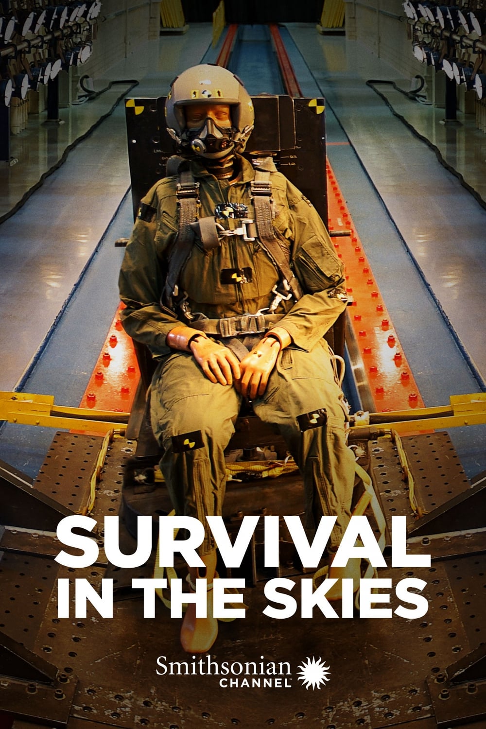 Survival in the Skies | Survival in the Skies