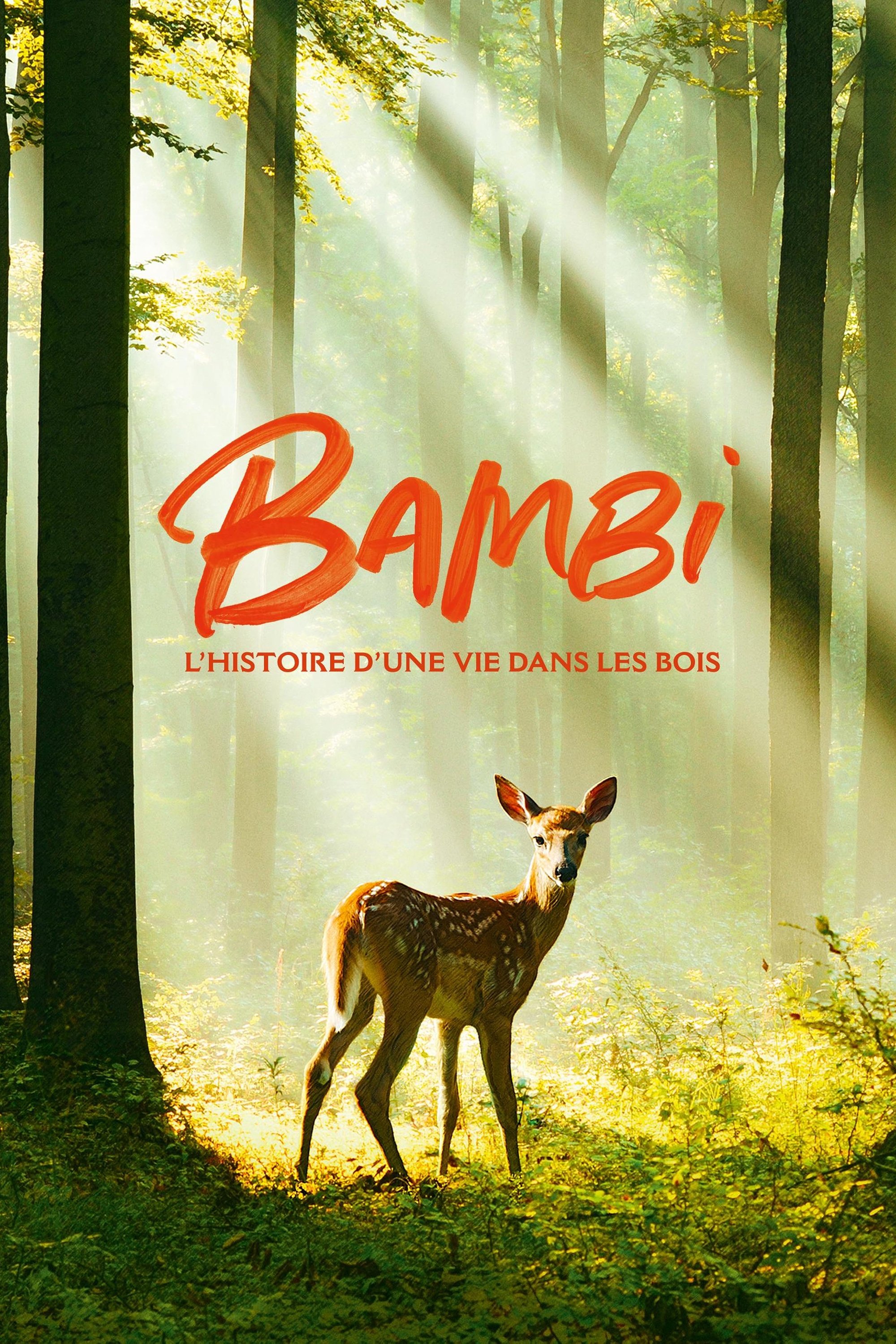 Bambi, l'histoire d'une vie dans les bois | Bambi, l'histoire d'une vie dans les bois