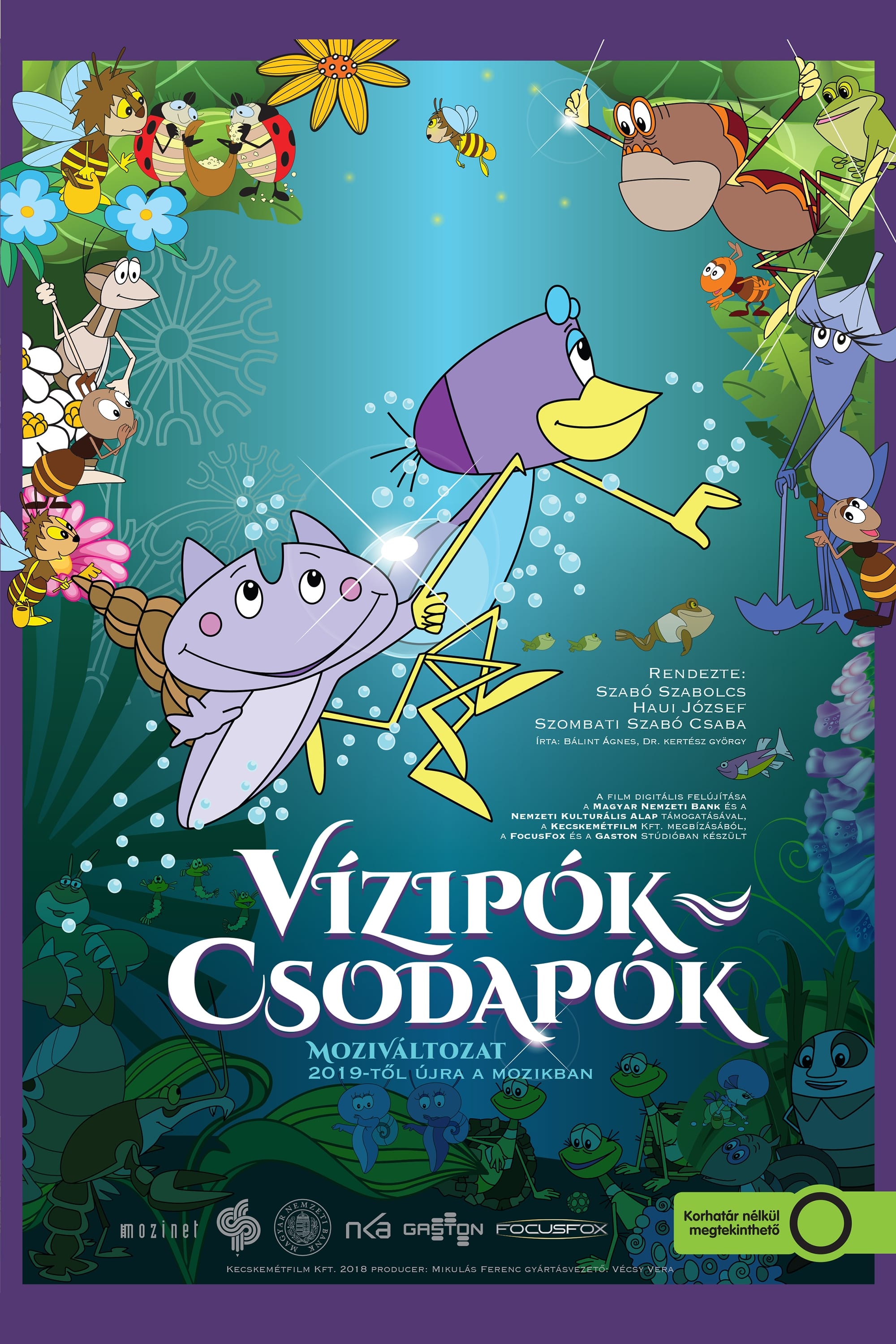 Vízipók-csodapók | Vízipók-csodapók