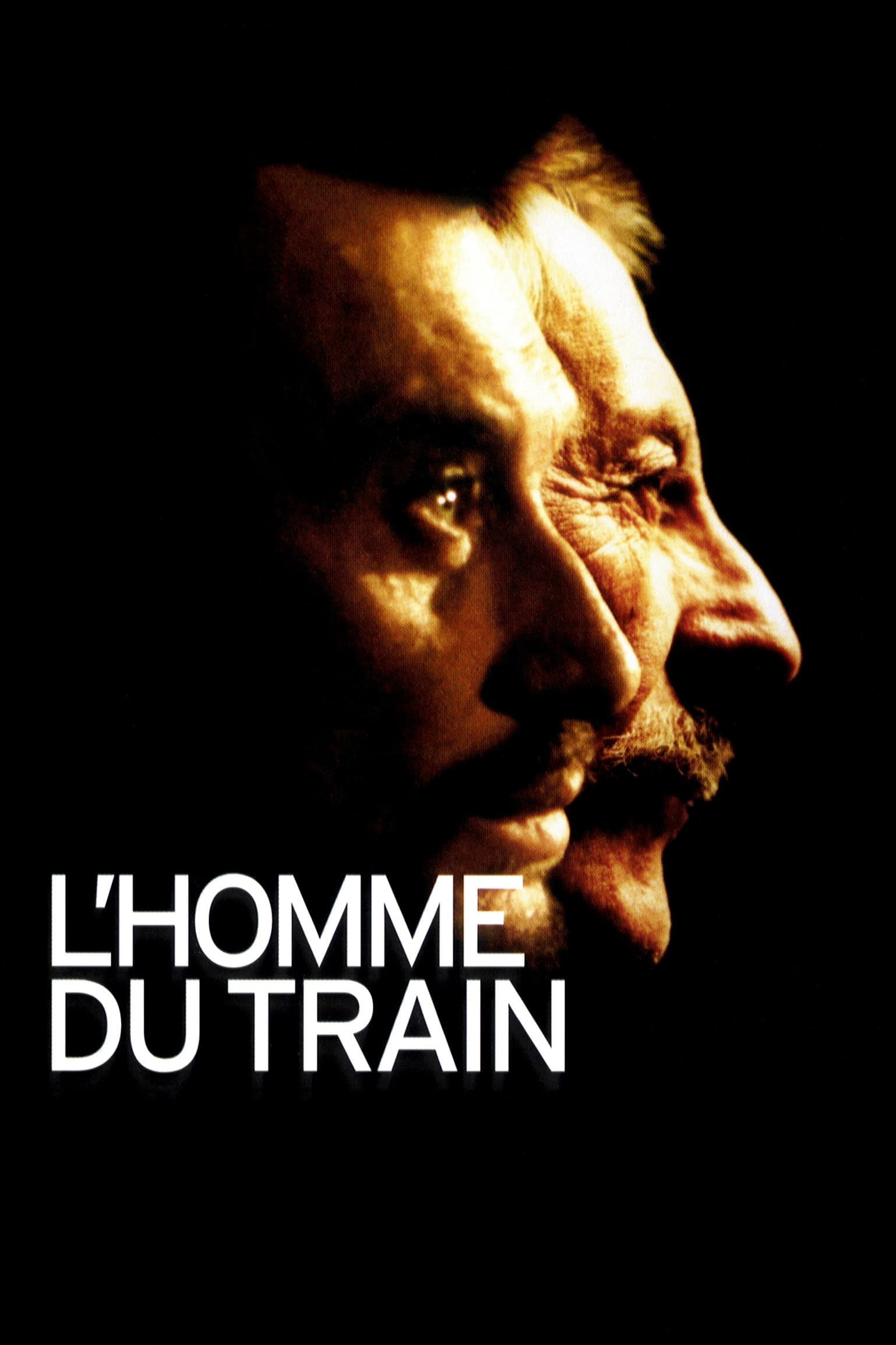 مردی در قطار | L'Homme du train