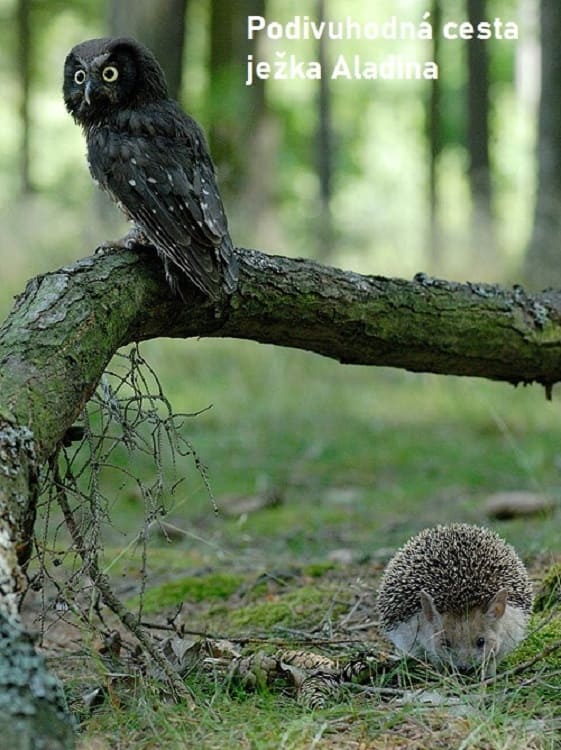 Podivuhodná cesta ježka Aladina | Podivuhodná cesta ježka Aladina