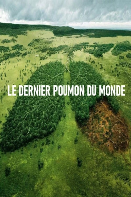 Le dernier poumon du monde | Le dernier poumon du monde