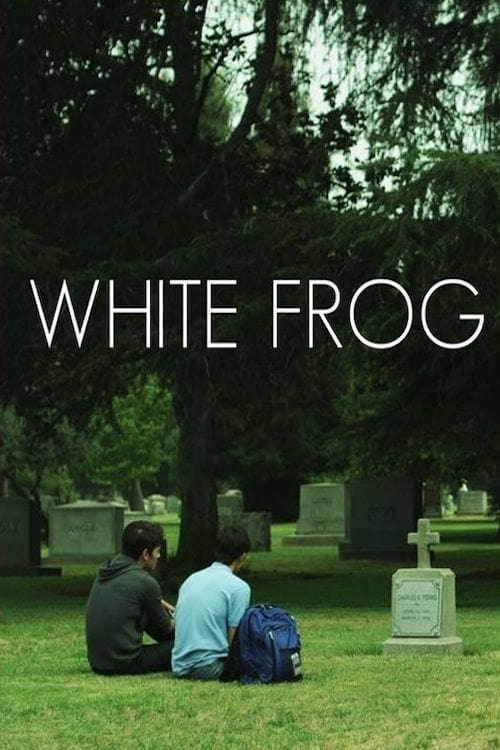 White Frog | White Frog