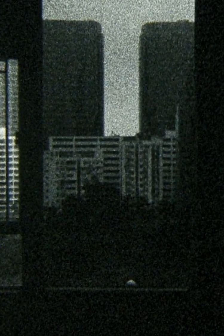 揺蕩
