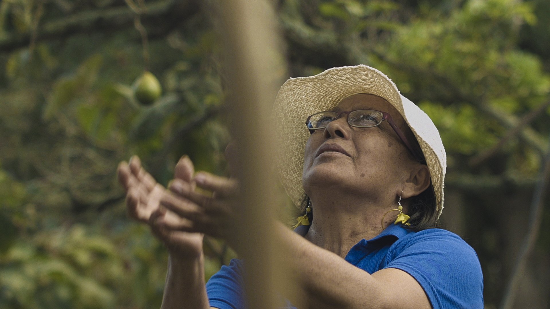 Tierra de mujeres|Tierra de mujeres