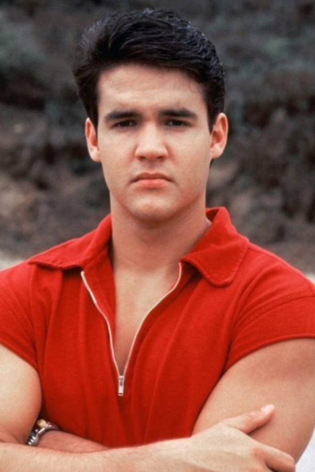 بازیگر Austin St. John  