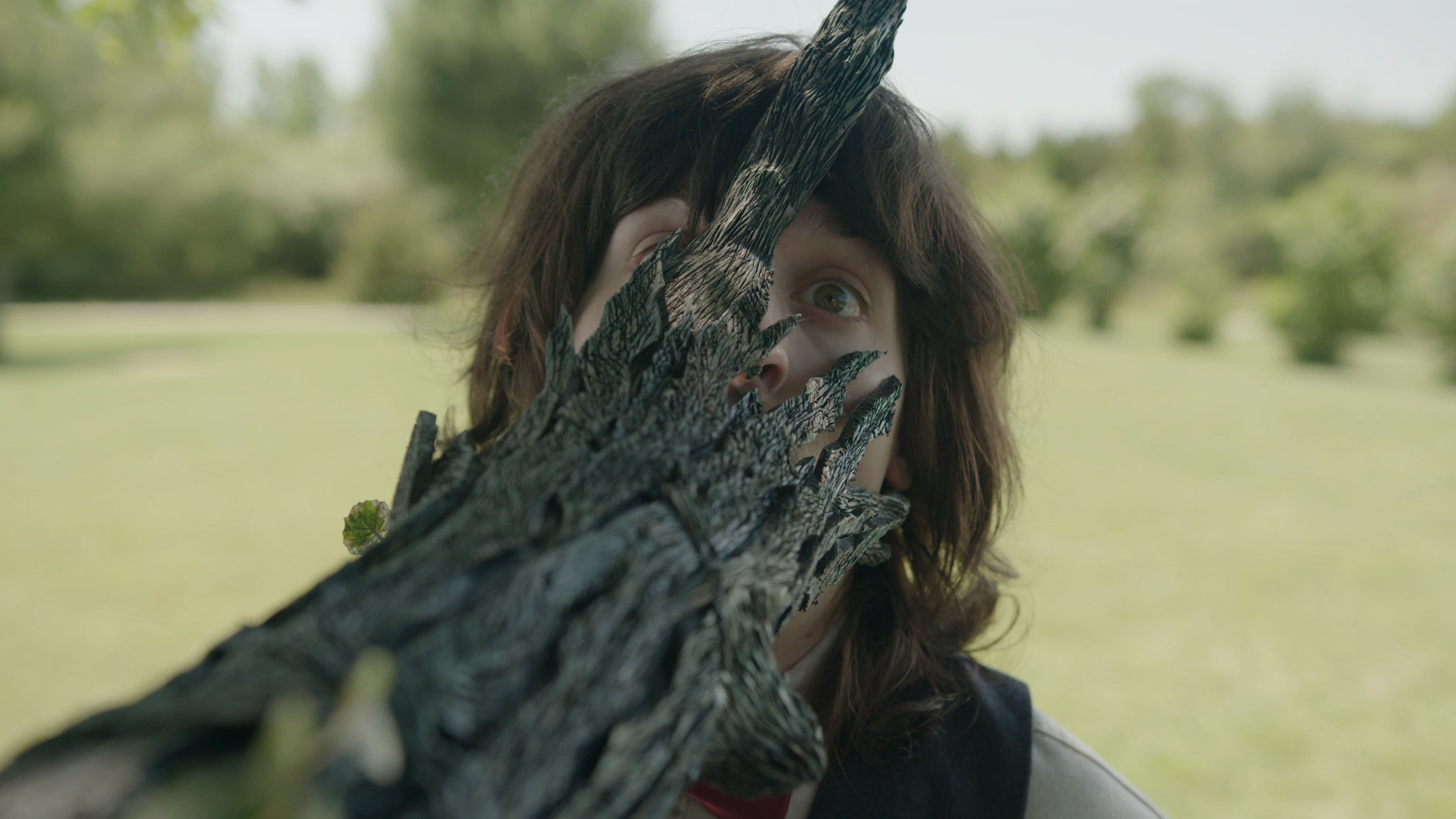 The Taking Tree|The Taking Tree