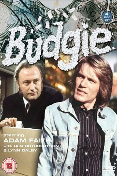 Budgie | Budgie