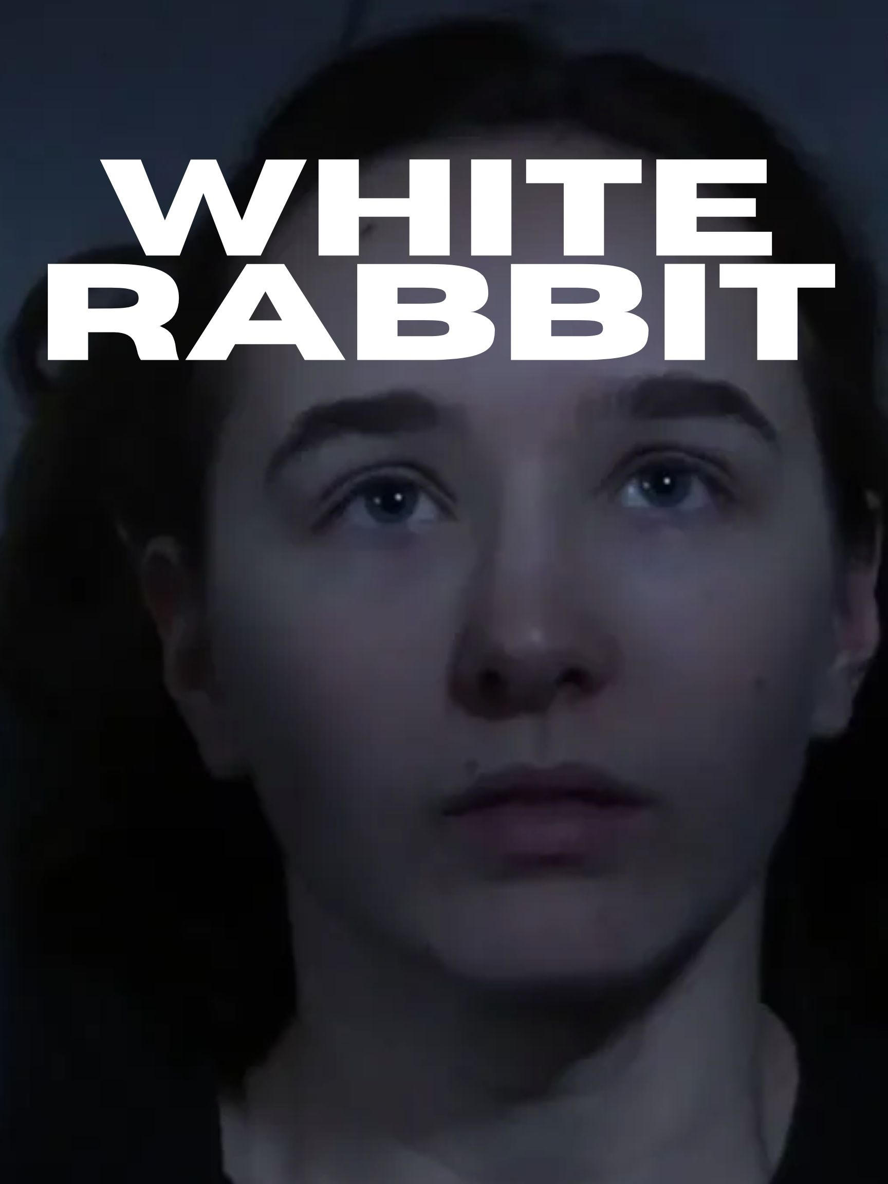 White Rabbit | White Rabbit