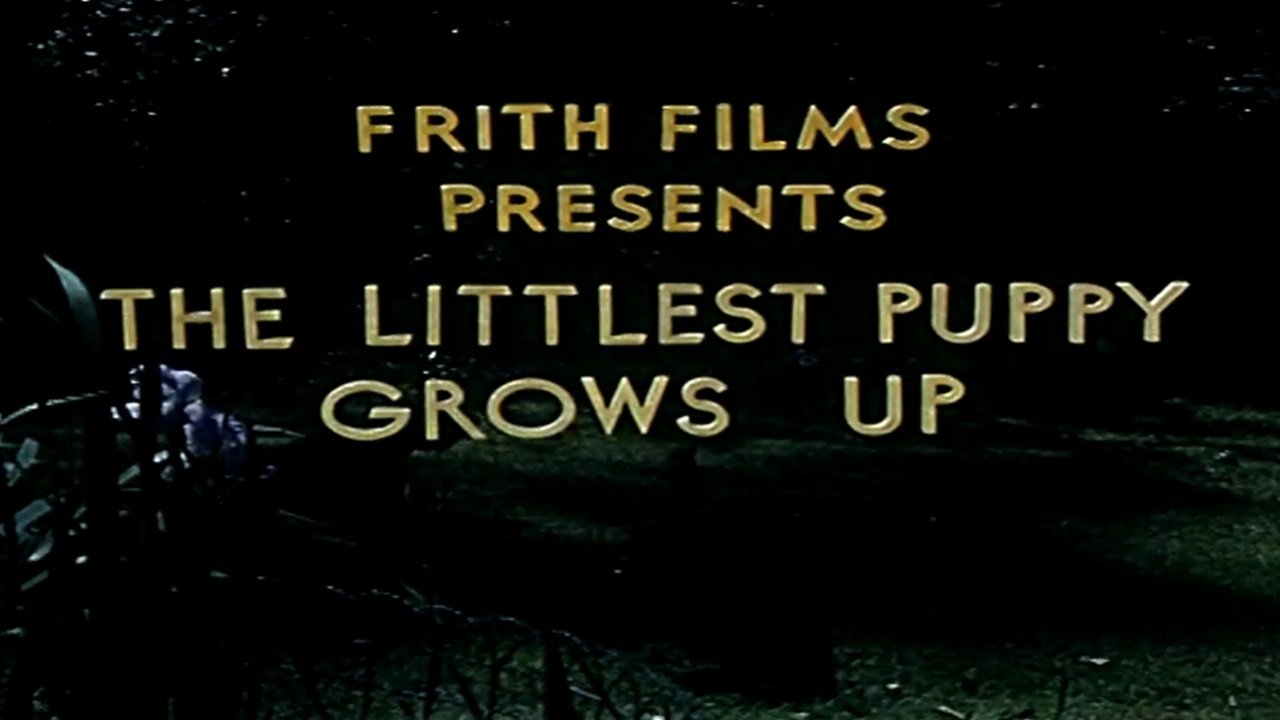 The Littlest Puppy Grows Up|The Littlest Puppy Grows Up