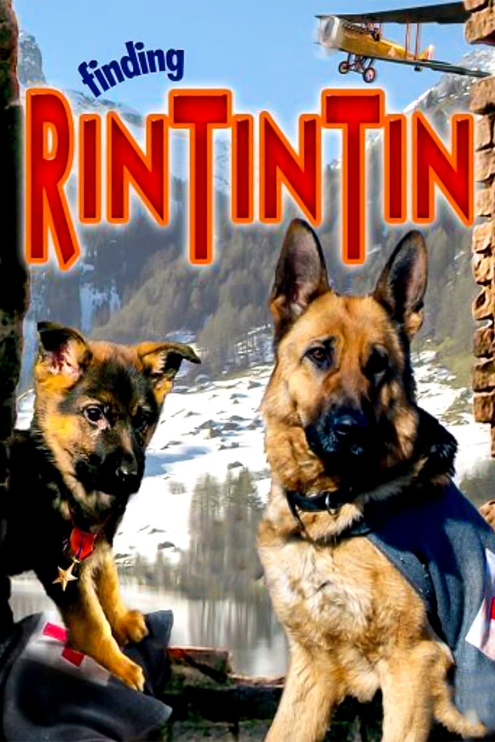 Finding Rin Tin Tin | Finding Rin Tin Tin