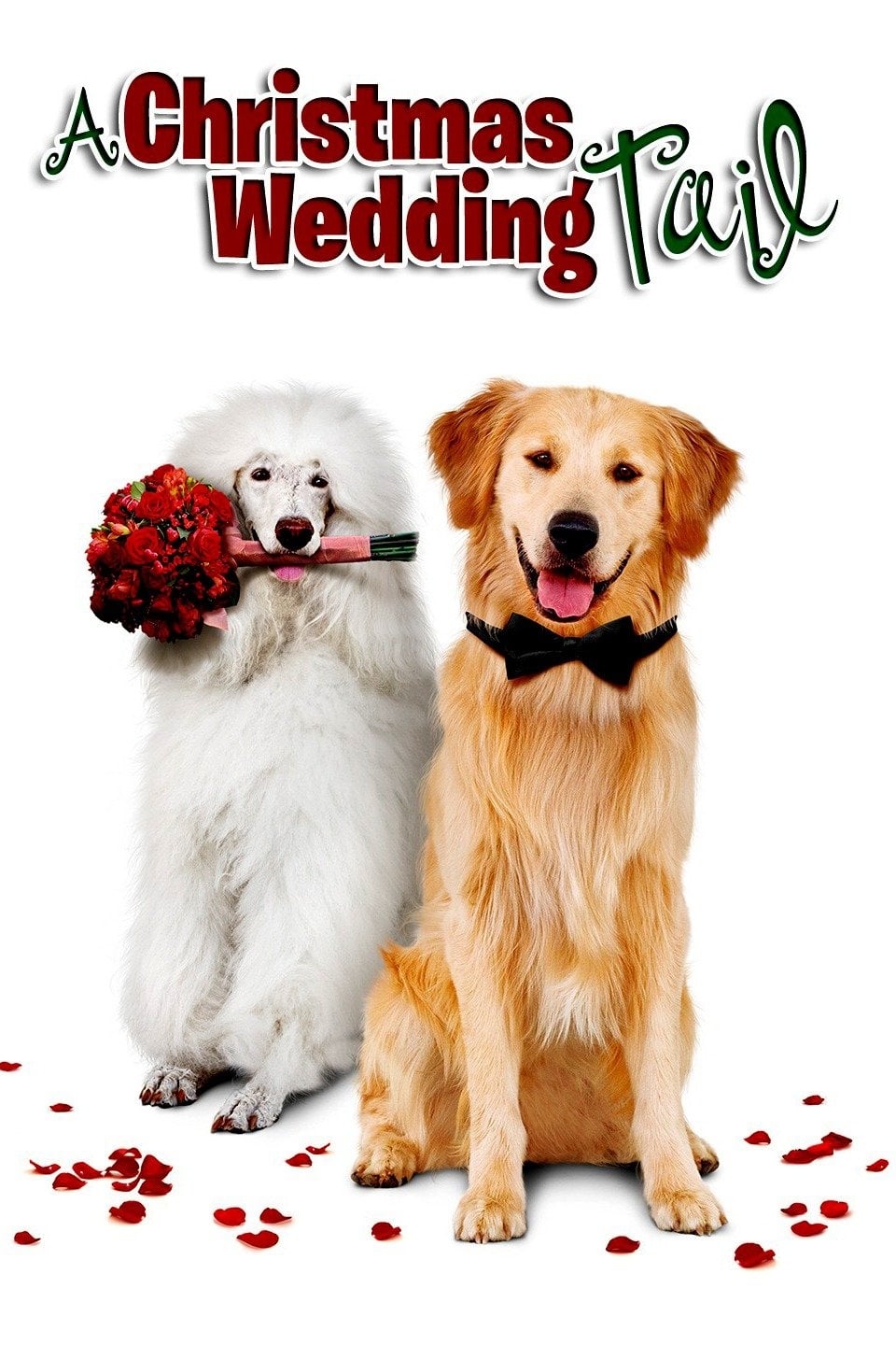 A Christmas Wedding Tail | A Christmas Wedding Tail