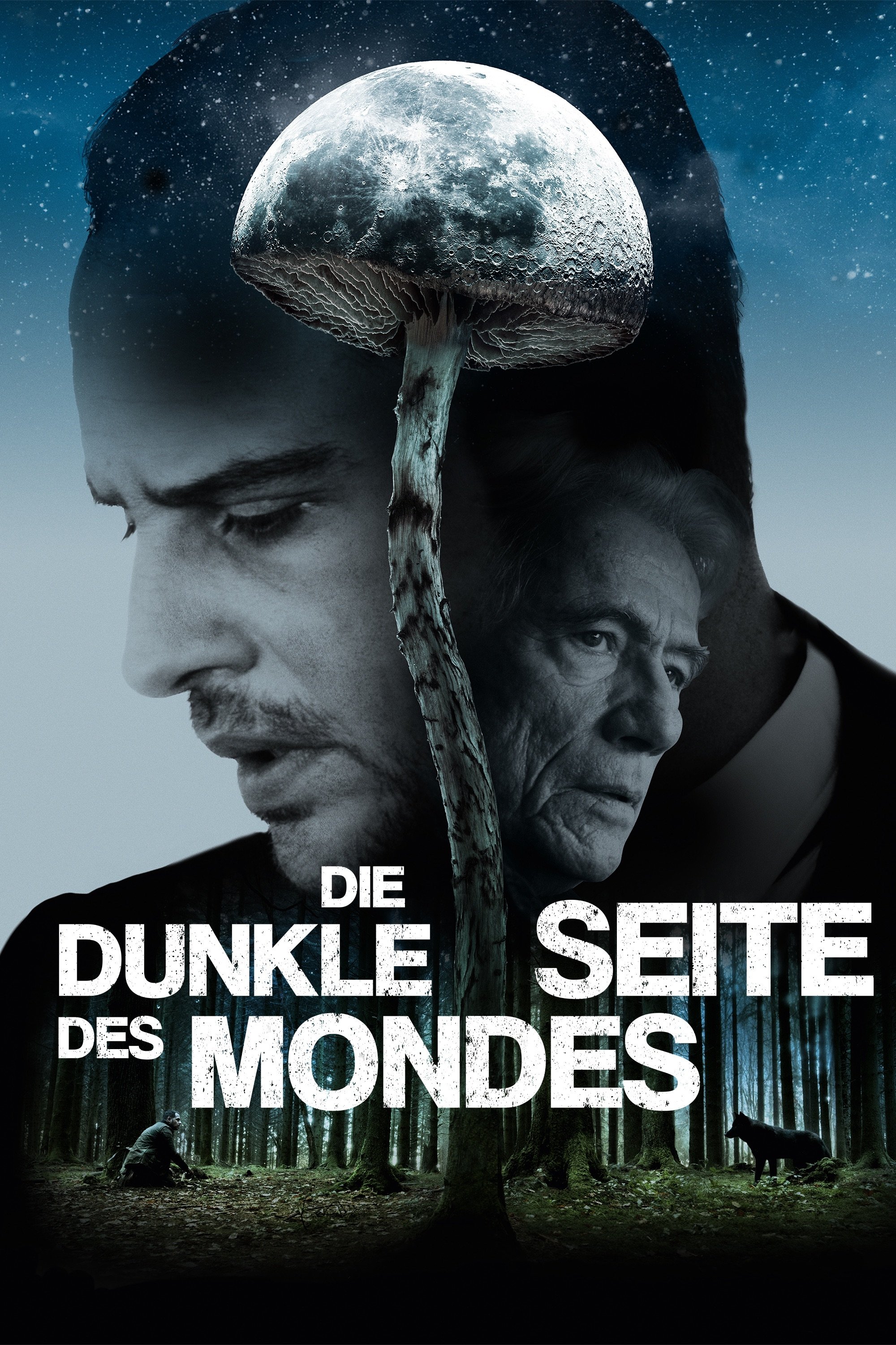 Die dunkle Seite des Mondes | Die dunkle Seite des Mondes