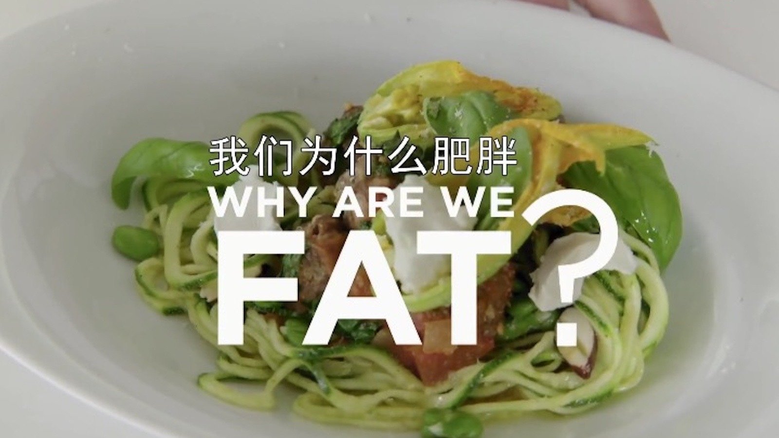Why Are We Getting So Fat?|Why Are We Getting So Fat?