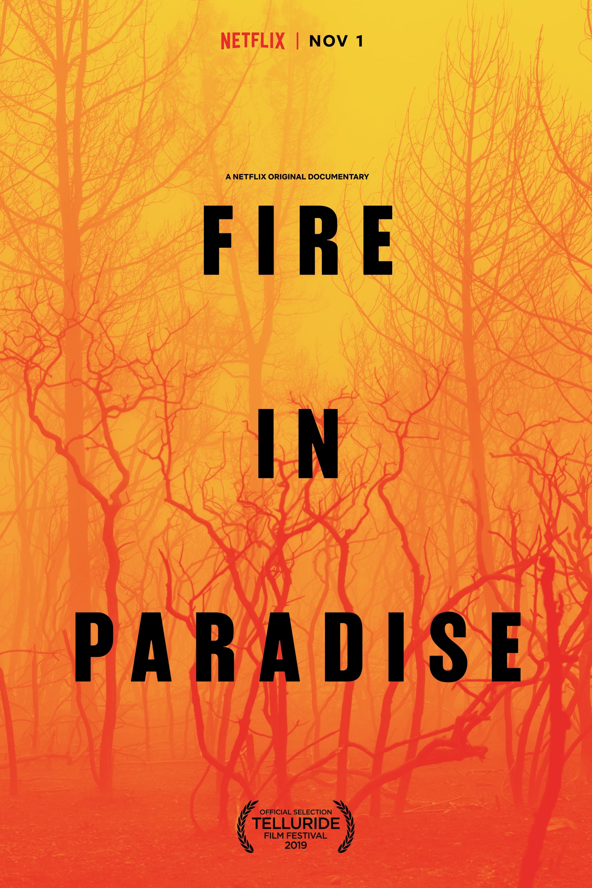 Fire in Paradise | Fire in Paradise