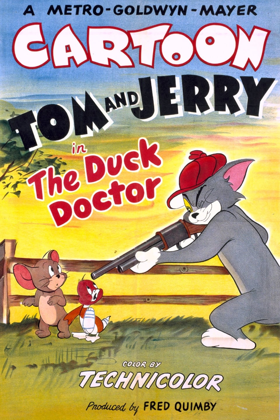 The Duck Doctor | The Duck Doctor