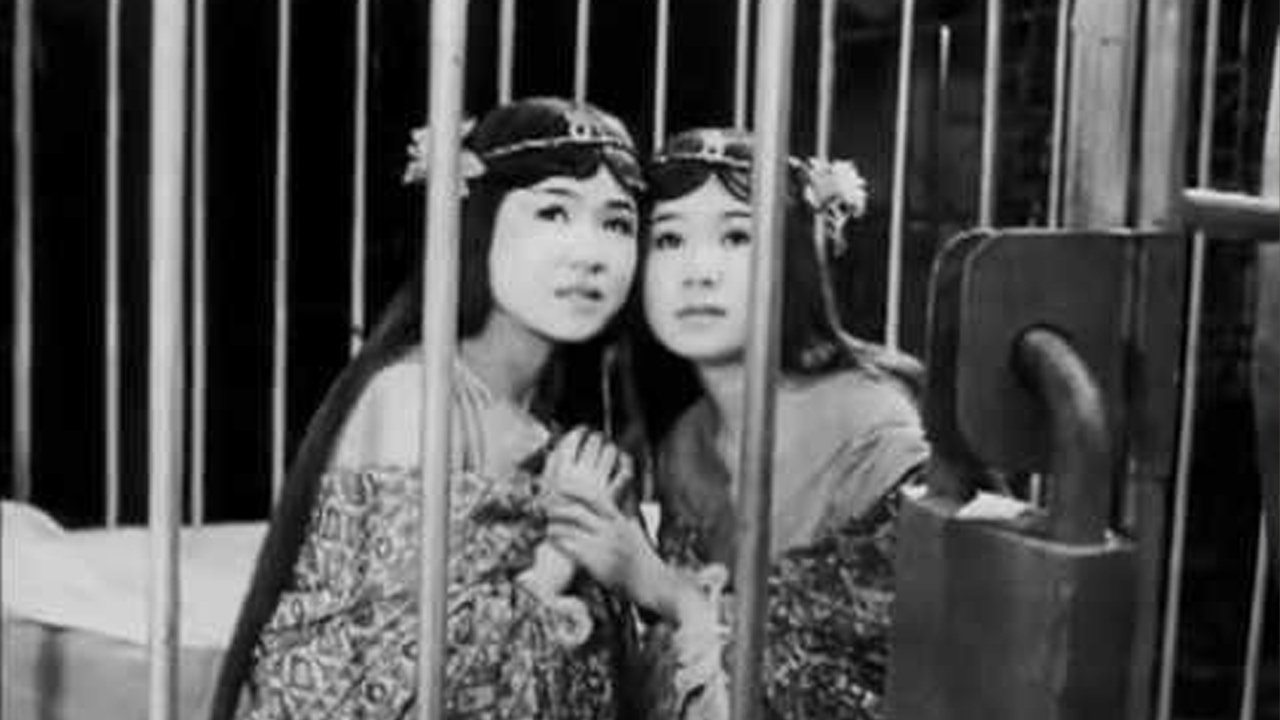The Women of Godzilla|The Women of Godzilla