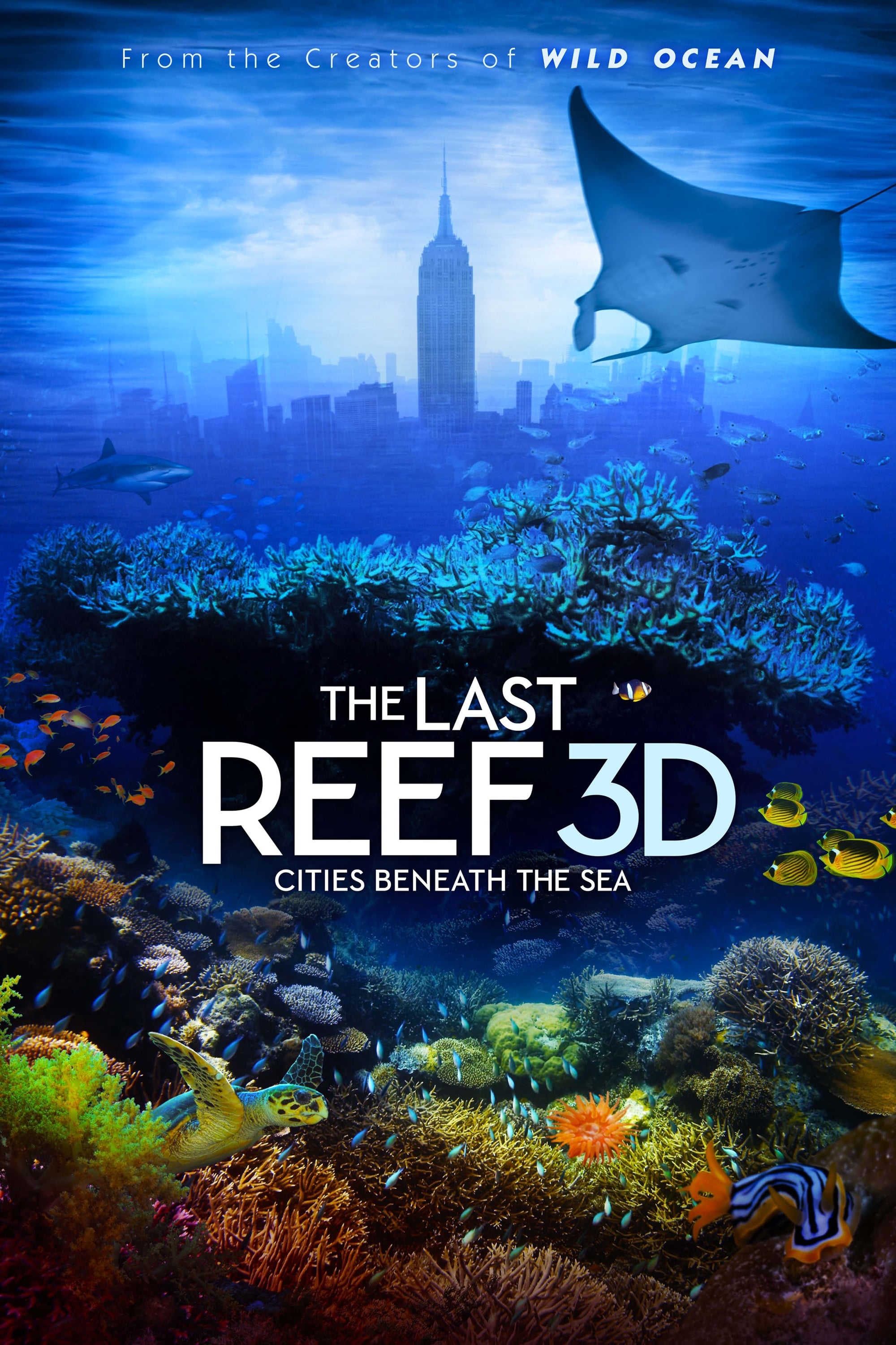 The Last Reef: Cities Beneath the Sea | The Last Reef: Cities Beneath the Sea