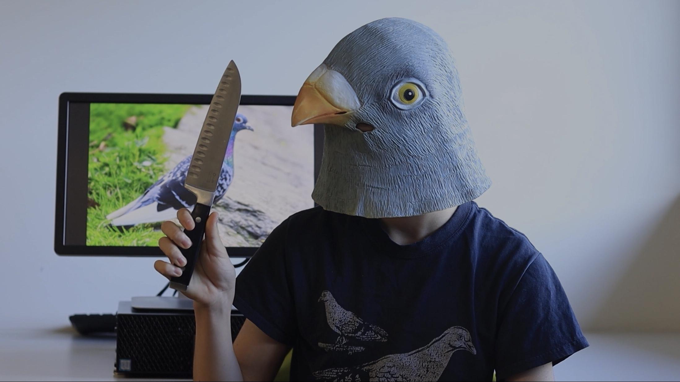 Hunt for the Pigeon Murderer|Hunt for the Pigeon Murderer