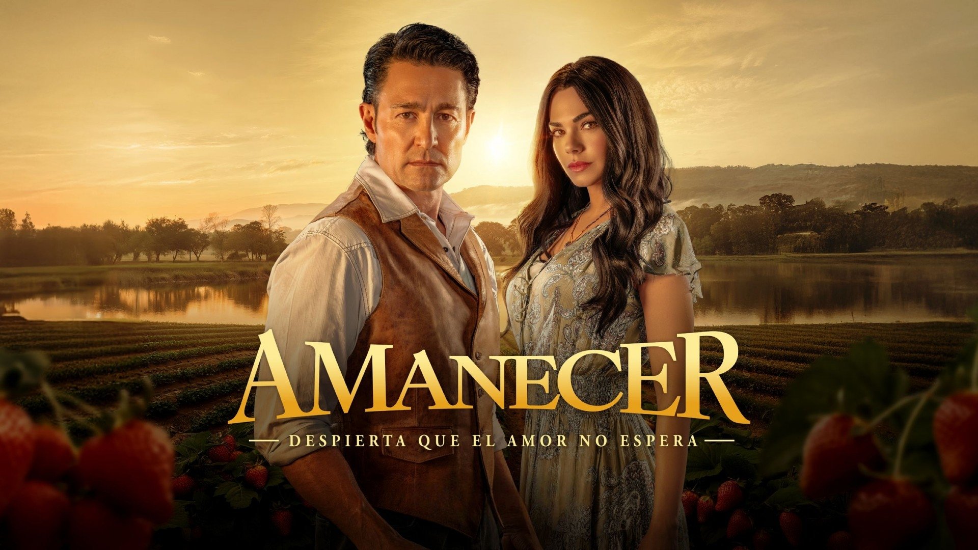Amanecer|Amanecer