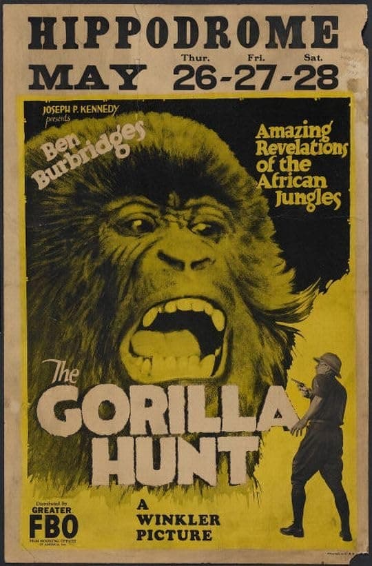 The Gorilla Hunt | The Gorilla Hunt