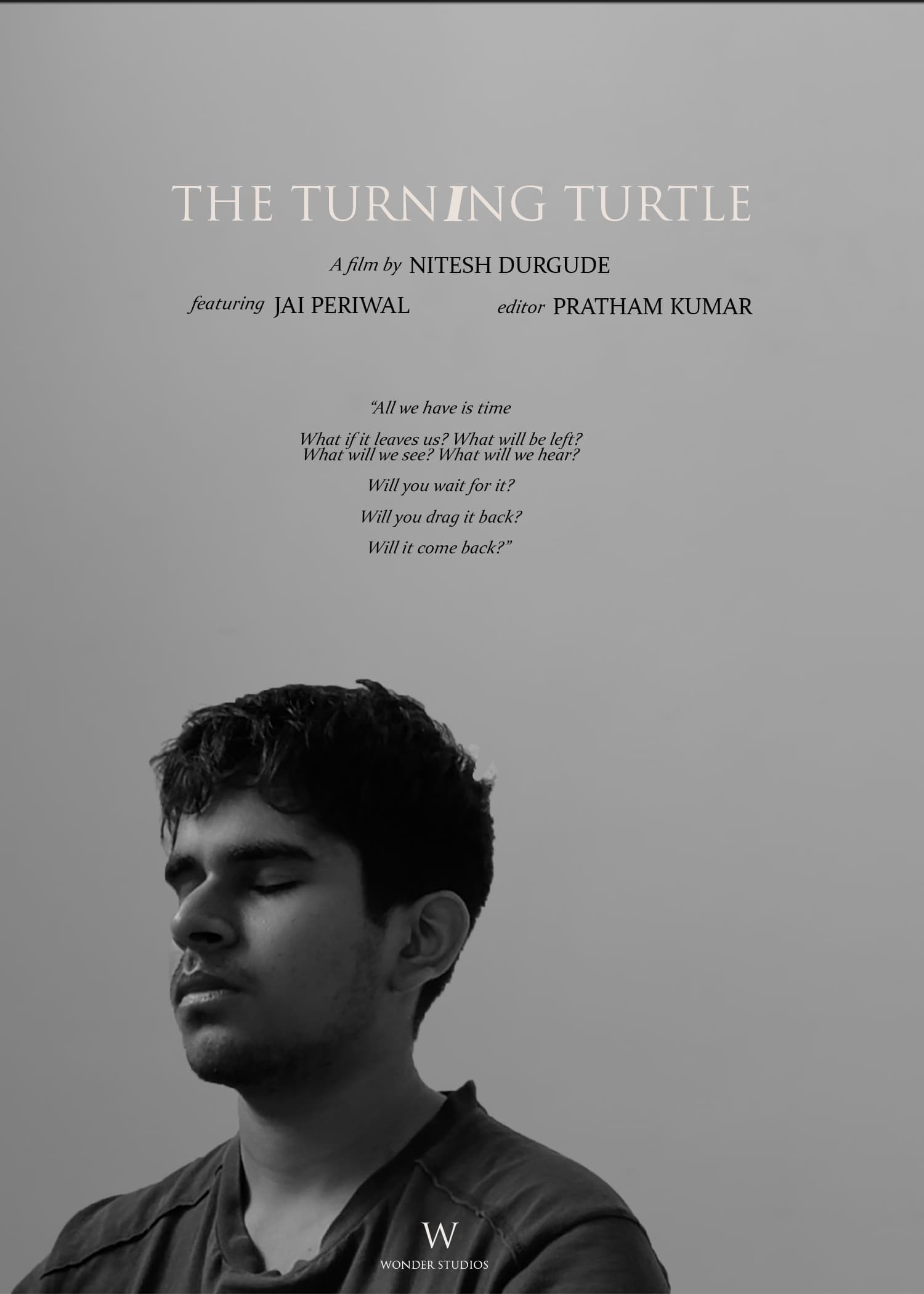 The Turning Turtle | The Turning Turtle