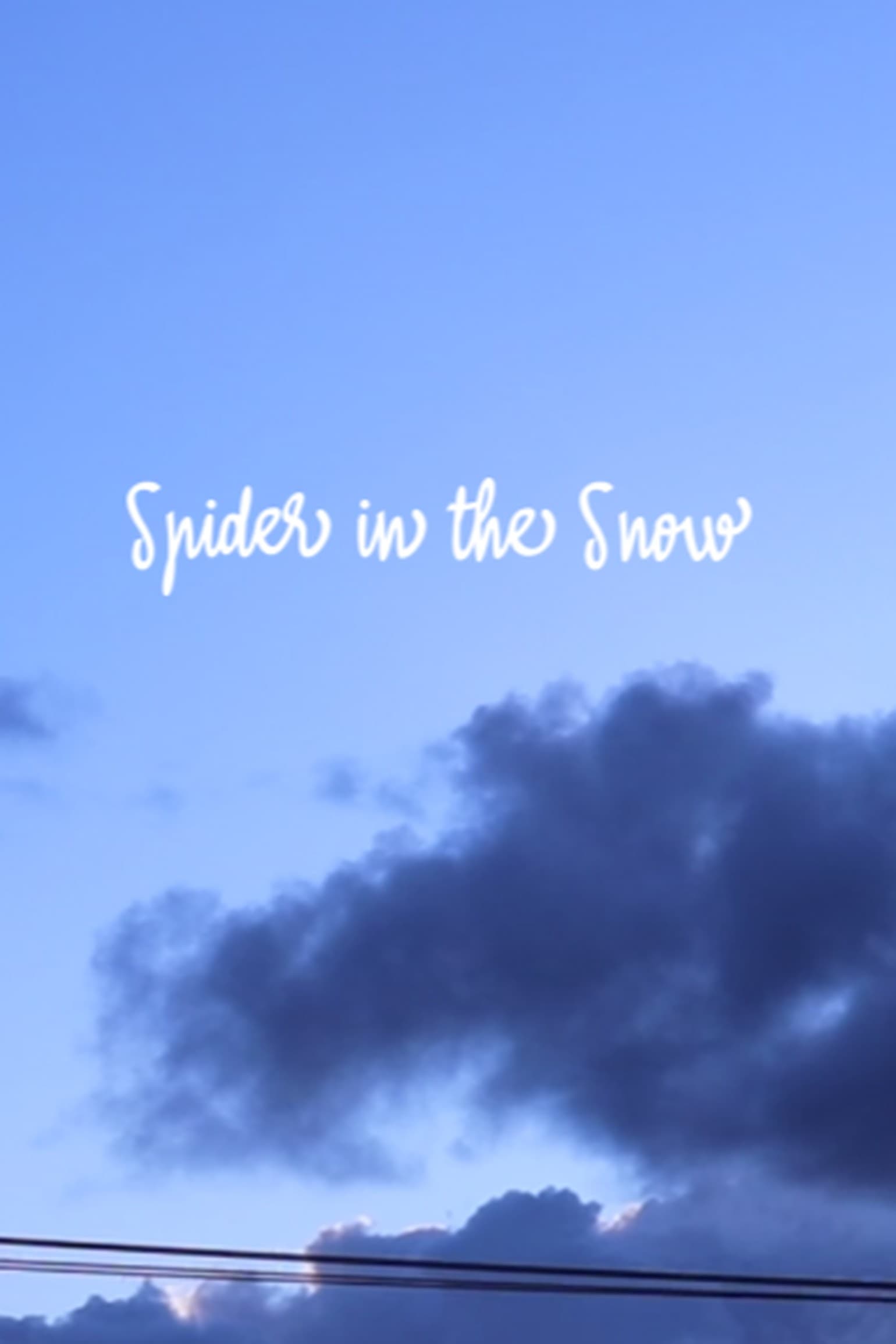 Spider in the Snow | Spider in the Snow