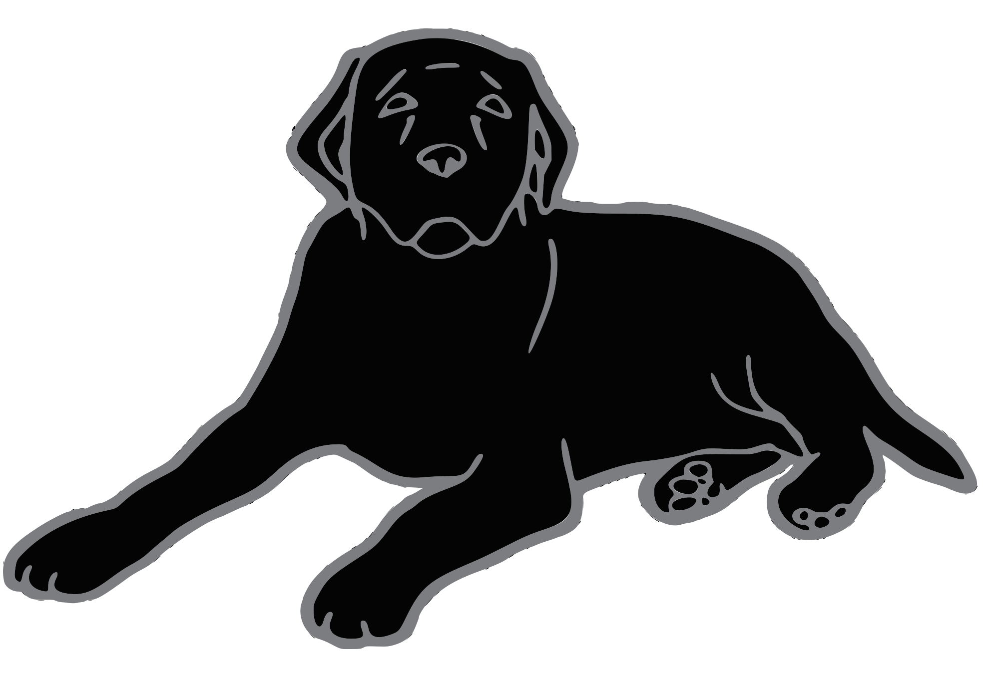 Black Dog Television