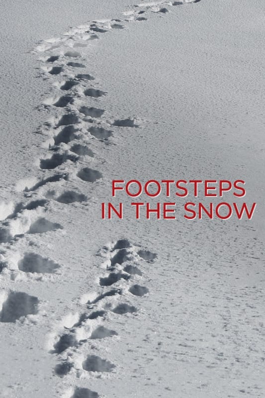 Footsteps in the Snow | Footsteps in the Snow