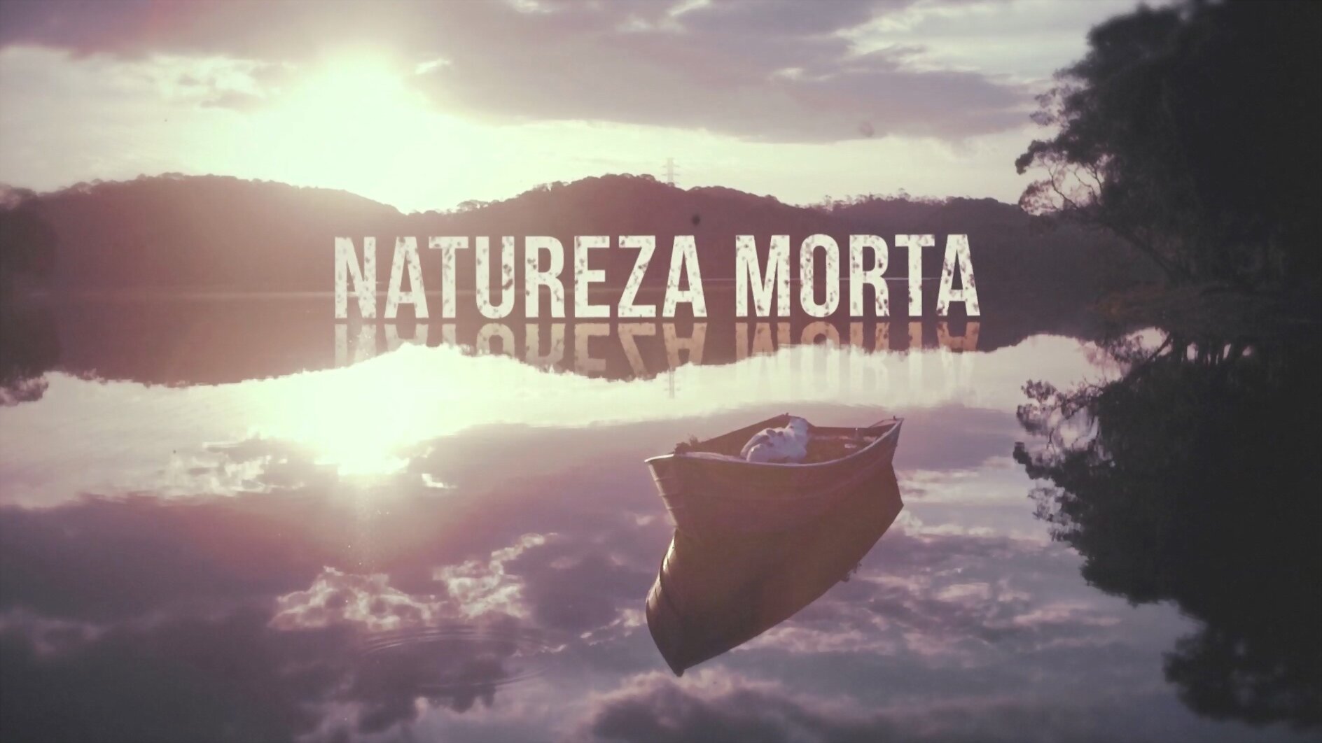 Natureza Morta|Natureza Morta
