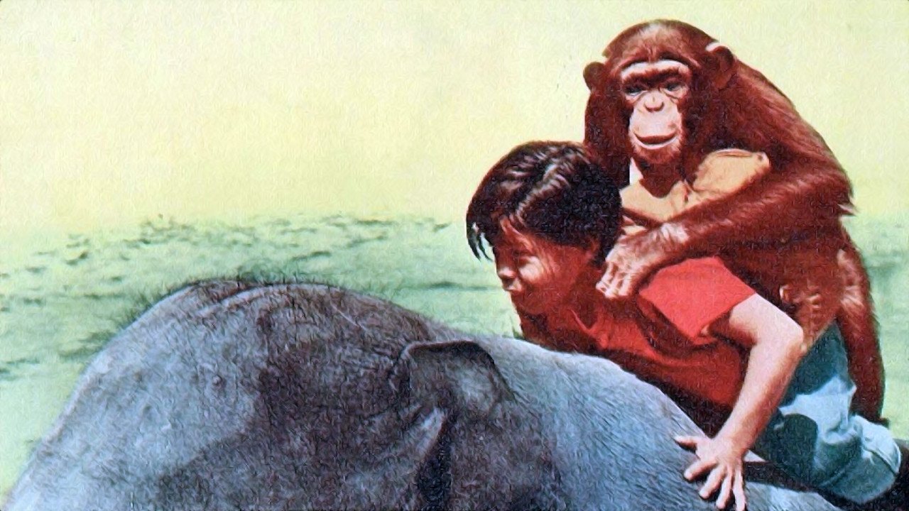 Taffy and the Jungle Hunter|Taffy and the Jungle Hunter