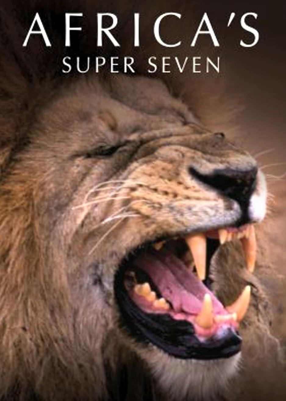 Africa's Super Seven | Africa's Super Seven